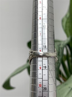 *Кольцо р.18,5 Амазонит Перу арт. 10022-715 Вес 7,23 г - фото 198812 *Кольцо р.18,5 Амазонит Перу арт. 10022-715 Вес 7,23 г - фото 198812