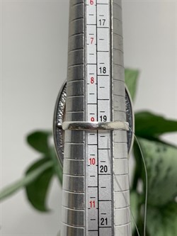 *Кольцо р.19 Агат Моховой арт. 1571-131 Вес 14,12 г - фото 198871 *Кольцо р.19 Агат Моховой арт. 1571-131 Вес 14,12 г - фото 198871