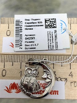 *Подвеска Сова Ночка арт. 0423П-766 вес 3,7 г - фото 199545 *Подвеска Сова Ночка арт. 0423П-766 вес 3,7 г - фото 199545