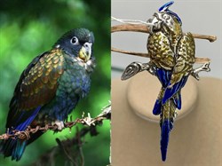 *Брошь Попугай Эмаль арт. 0697Б-879 Вес 10,7 г - фото 199688