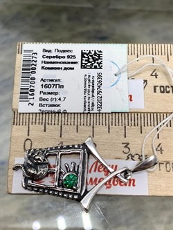 *Подвеска Кошкин дом Фианит арт. 1607Пп-395 вес 4,7 г - фото 200635 *Подвеска Кошкин дом Фианит арт. 1607Пп-395 вес 4,7 г - фото 200635