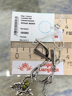 *Серьги Алые маки Эмаль арт. 1650С-462 Вес 7,1 г - фото 200707 *Серьги Алые маки Эмаль арт. 1650С-462 Вес 7,1 г - фото 200707