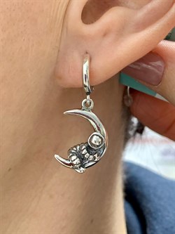 *Серьги Земля в иллюминаторе арт. 1756С-162 вес 8,2 г - фото 201255