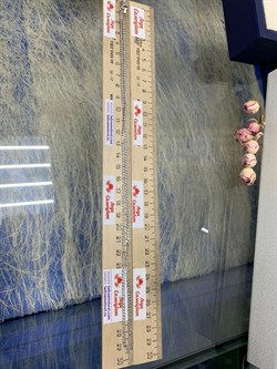 *Цепь р.60 Панцирь арт. 0203R060L60-715 (Вес 4,36 г) - фото 203924 *Цепь р.60 Панцирь арт. 0203R060L60-715 (Вес 4,36 г) - фото 203924