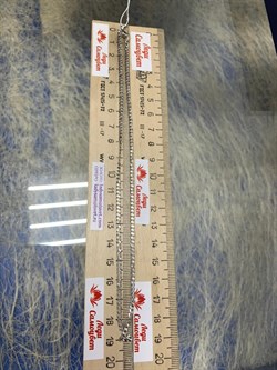 *Цепь р.40 Панцирь арт. 0203R060L40-174 (Вес 2,84 г) - фото 203932