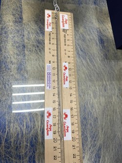 *Цепь р.40 Панцирь арт. 0202R035L40-013 (Вес 1,66 г) - фото 204032