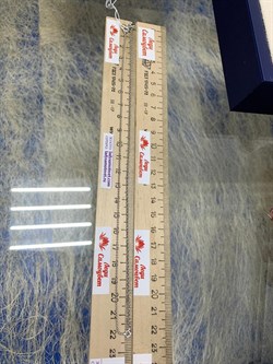 *Цепь р.45 Инфинити шарики Перлина роло Бельцер арт. 6471R15501425L45-145 (Вес 2,28 г) - фото 204364