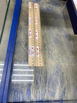 *Цепь р.80 Инфинити шарики Перлина роло Бельцер арт. 6471R15501425L80-523 (Вес 3,6 г) - фото 204496