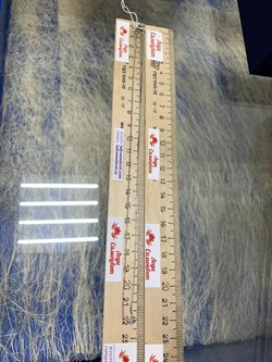 *Цепь р.45 Инфинити коробочка  Венецианская шарики Перлина арт. 6471R17011580L45-343 (Вес 1,88 г) - фото 204610 *Цепь р.45 Инфинити коробочка  Венецианская шарики Перлина арт. 6471R17011580L45-343 (Вес 1,88 г) - фото 204610