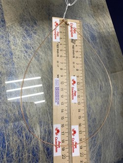 *Струна р.50 Омега Гладкая арт. 4200Z100L50-339 (Вес 4,24 г) - фото 205020 *Струна р.50 Омега Гладкая арт. 4200Z100L50-339 (Вес 4,24 г) - фото 205020