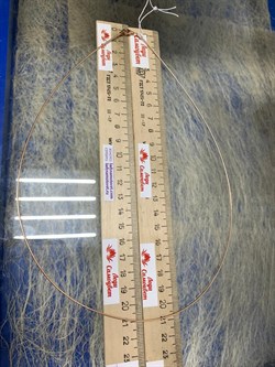 *Струна р.55 Омега Гладкая арт. 4200Z100L55-360 (Вес 4,69 г) - фото 205029 *Струна р.55 Омега Гладкая арт. 4200Z100L55-360 (Вес 4,69 г) - фото 205029