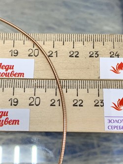 *Струна р.55 Омега Гладкая арт. 4200Z155L55-551 (Вес 10,63 г) - фото 205077 *Струна р.55 Омега Гладкая арт. 4200Z155L55-551 (Вес 10,63 г) - фото 205077