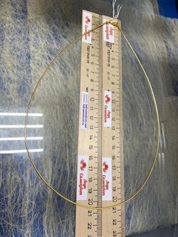 *Струна р.55 Омега Гладкая арт. 4200Y125L55-388 (Вес 6,93 г) - фото 205309 *Струна р.55 Омега Гладкая арт. 4200Y125L55-388 (Вес 6,93 г) - фото 205309