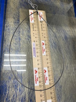 *Струна р.55 Омега Гладкая арт. 4200X155L55-769 (Вес 10,62 г) - фото 205745 *Струна р.55 Омега Гладкая арт. 4200X155L55-769 (Вес 10,62 г) - фото 205745