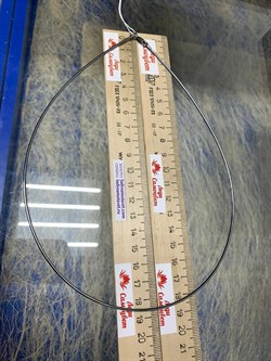 *Струна р.50 Омега Гладкая арт. 4200X155L50-752 (Вес 9,67 г) - фото 205780 *Струна р.50 Омега Гладкая арт. 4200X155L50-752 (Вес 9,67 г) - фото 205780