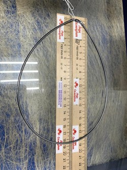 *Струна р.50 Омега Гладкая арт. 4200X255L50-209 (Вес 22,72 г) - фото 206148 *Струна р.50 Омега Гладкая арт. 4200X255L50-209 (Вес 22,72 г) - фото 206148