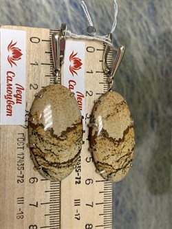 *Серьги Яшма Песочная Абстракция арт. 2-1600-616-118 Вес 22,04 г - фото 206479 *Серьги Яшма Песочная Абстракция арт. 2-1600-616-118 Вес 22,04 г - фото 206479