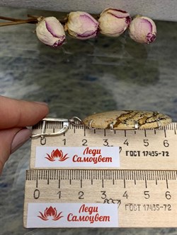 *Серьги Яшма Песочная Абстракция арт. 2-1600-616-118 Вес 22,04 г - фото 206482 *Серьги Яшма Песочная Абстракция арт. 2-1600-616-118 Вес 22,04 г - фото 206482