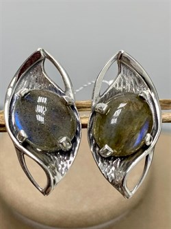 *Серьги Лабрадор арт. 2-1648-517-844  Вес 7,56 г - фото 206755 *Серьги Лабрадор арт. 2-1648-517-844  Вес 7,56 г - фото 206755