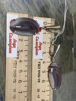 *Серьги Агат Бразильский Абстракция арт. 2-1600-615-071 Вес 13,19 г - фото 206838 *Серьги Агат Бразильский Абстракция арт. 2-1600-615-071 Вес 13,19 г - фото 206838