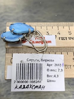*Серьги Петли Бирюза Казахстан АРТ 2665-1 ВЕС 7,3 Г - фото 207891