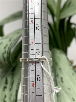 *Кольцо р.17 Турмалин Забайкалье АРТ 3393 ВЕС 4,9 Г - фото 208440 *Кольцо р.17 Турмалин Забайкалье АРТ 3393 ВЕС 4,9 Г - фото 208440