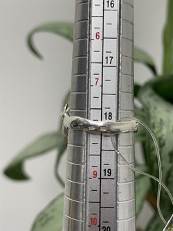 *Кольцо р.18 Океаническая Яшма Мадагаскар АРТ 1562-075  ВЕС 6,6 Г - фото 208718