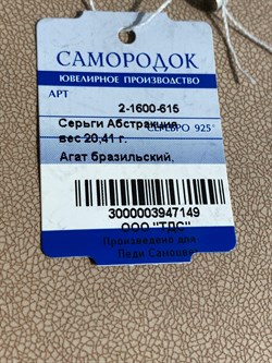 *Серьги Агат Бразильский Абстракция арт. 2-1600-615-149  Вес 20,41 г - фото 209436