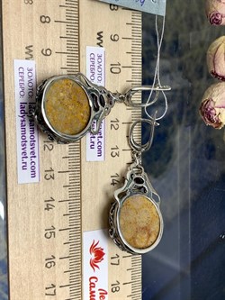 *Серьги Коралл Фоссил Гранат Альмандин АРТ с133-190 (ВЕС 18,62 Г) - фото 209463 *Серьги Коралл Фоссил Гранат Альмандин АРТ с133-190 (ВЕС 18,62 Г) - фото 209463