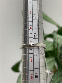 *Кольцо р.17,5 Бирюза Казахстан АРТ 135-318-7,35 ВЕС 7,35 Г - фото 209725 *Кольцо р.17,5 Бирюза Казахстан АРТ 135-318-7,35 ВЕС 7,35 Г - фото 209725