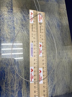 *Струна р.50 Омега Гладкая арт. 4200R155L50-265 (Вес 9,68 г) - фото 210439 *Струна р.50 Омега Гладкая арт. 4200R155L50-265 (Вес 9,68 г) - фото 210439