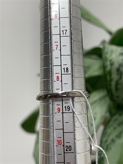 *Кольцо р.18,5 Танзанит Африка АРТ 49386 (ВЕС 7,44 Г) - фото 211945 *Кольцо р.18,5 Танзанит Африка АРТ 49386 (ВЕС 7,44 Г) - фото 211945