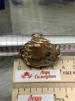 *Кольцо р.17,5 Солнечный камень Гелиолит АРТ 56936 (ВЕС 21,05 Г) - фото 212978 *Кольцо р.17,5 Солнечный камень Гелиолит АРТ 56936 (ВЕС 21,05 Г) - фото 212978