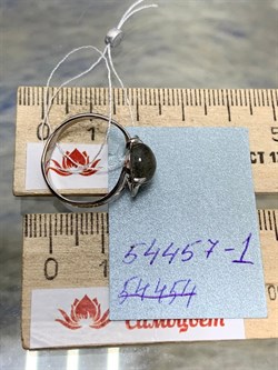 *Кольцо р.17 Лабрадор Бразилия АРТ 54457-1 вес 1,94 г - фото 218296 *Кольцо р.17 Лабрадор Бразилия АРТ 54457-1 вес 1,94 г - фото 218296