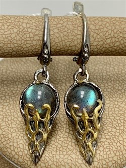 *Серьги Лабрадор Бразилия АРТ 38841 (ВЕС 6,93 Г) - фото 218376