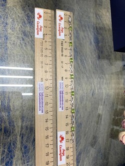 *Браслет р.17 Бесконечность Хризолит арт. Бр620-003-17Хр-312 вес 4,75 г - фото 219822 *Браслет р.17 Бесконечность Хризолит арт. Бр620-003-17Хр-312 вес 4,75 г - фото 219822