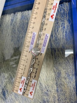 *Часы р.18 "Злата" арт. 44100-14-307 (вес 16,53 г) - фото 221249 *Часы р.18 "Злата" арт. 44100-14-307 (вес 16,53 г) - фото 221249