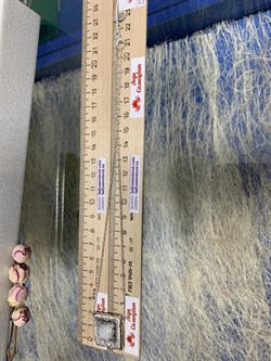 *Колье р.40 Адуляр Индия арт. 01N4010MS-783 (Вес 8,49 г.) - фото 221827 *Колье р.40 Адуляр Индия арт. 01N4010MS-783 (Вес 8,49 г.) - фото 221827