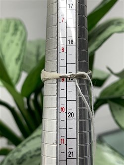 *Кольцо р.19 Адуляр Индия арт. MVR1653MS-876 (Вес 4,02 г.) - фото 221959 *Кольцо р.19 Адуляр Индия арт. MVR1653MS-876 (Вес 4,02 г.) - фото 221959