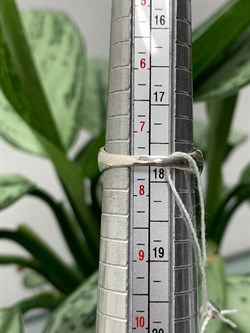 *Кольцо р.18  Адуляр Индия арт. MVR1653GMS-463 (Вес 3,76 г.) - фото 221998 *Кольцо р.18  Адуляр Индия арт. MVR1653GMS-463 (Вес 3,76 г.) - фото 221998