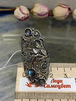 *Кольцо р.18 Лабрадор Бразилия арт. 01R2783LB-203 Вес 9,15 г. - фото 222059 *Кольцо р.18 Лабрадор Бразилия арт. 01R2783LB-203 Вес 9,15 г. - фото 222059