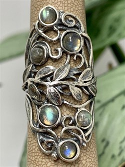 *Кольцо р.18 Лабрадор Бразилия арт. 01R2783LB-203 Вес 9,15 г. - фото 222062 *Кольцо р.18 Лабрадор Бразилия арт. 01R2783LB-203 Вес 9,15 г. - фото 222062