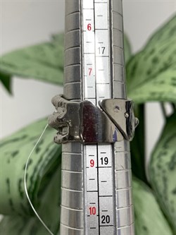 *Кольцо р.18 Лапка Гранат Пироп АРТ 1169 Вес 10 г - фото 222375