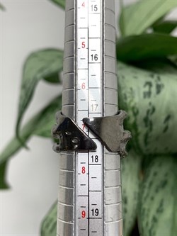 *Кольцо р.17 Хризолит Арт 1169-453 Вес 9,06 г - фото 222393 *Кольцо р.17 Хризолит Арт 1169-453 Вес 9,06 г - фото 222393