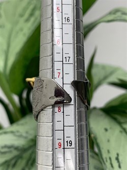 *Кольцо р.18 Гранат Пироп Арт 1105 Вес 14,15 г - фото 222657 *Кольцо р.18 Гранат Пироп Арт 1105 Вес 14,15 г - фото 222657