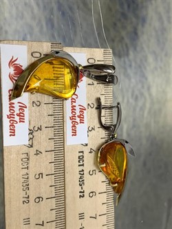 *Серьги Янтарь арт. 43020208526-202 (Вес 9,24г) - фото 224779 *Серьги Янтарь арт. 43020208526-202 (Вес 9,24г) - фото 224779