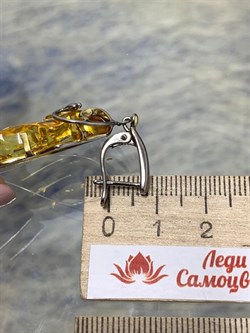 *Серьги Янтарь арт. 43022108573-468 (Вес 11,86г) - фото 224813 *Серьги Янтарь арт. 43022108573-468 (Вес 11,86г) - фото 224813