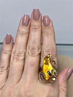 *Кольцо р.17 Янтарь арт. 43032108573-248 (Вес 8,33г) - фото 224818 *Кольцо р.17 Янтарь арт. 43032108573-248 (Вес 8,33г) - фото 224818