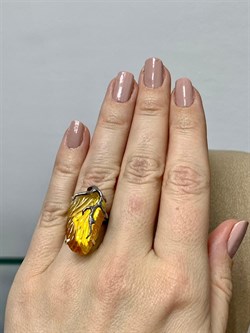 *Кольцо р.16,75 Янтарь арт. 43032119520-410 (Вес 6,4 г) - фото 224958 *Кольцо р.16,75 Янтарь арт. 43032119520-410 (Вес 6,4 г) - фото 224958