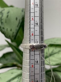 *Кольцо р.17 арт. R09787p-р.17-662 (Вес 9,18 г) - фото 226351 *Кольцо р.17 арт. R09787p-р.17-662 (Вес 9,18 г) - фото 226351